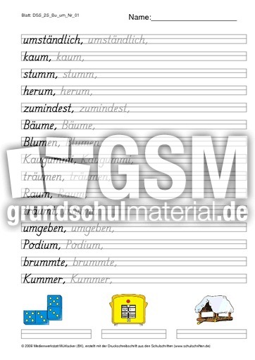 DSS_2S_Bu_um_Nr_01.pdf